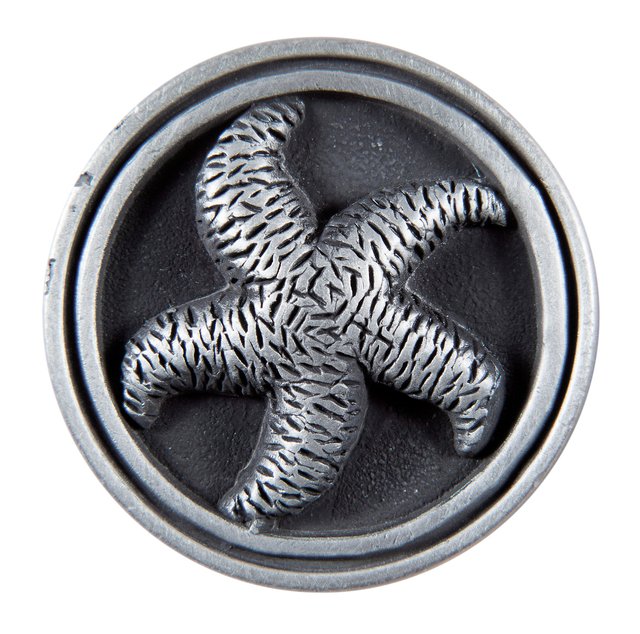 HW-12 Pewter Starfish