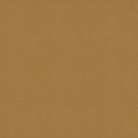 LANSINGSIENNA__74993