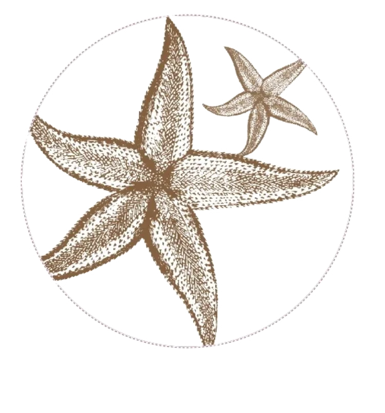 Starfish