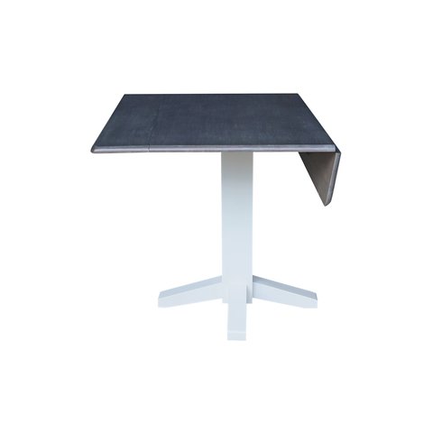 T05-36SDP FRONT WITH ONE LEAF DOWN