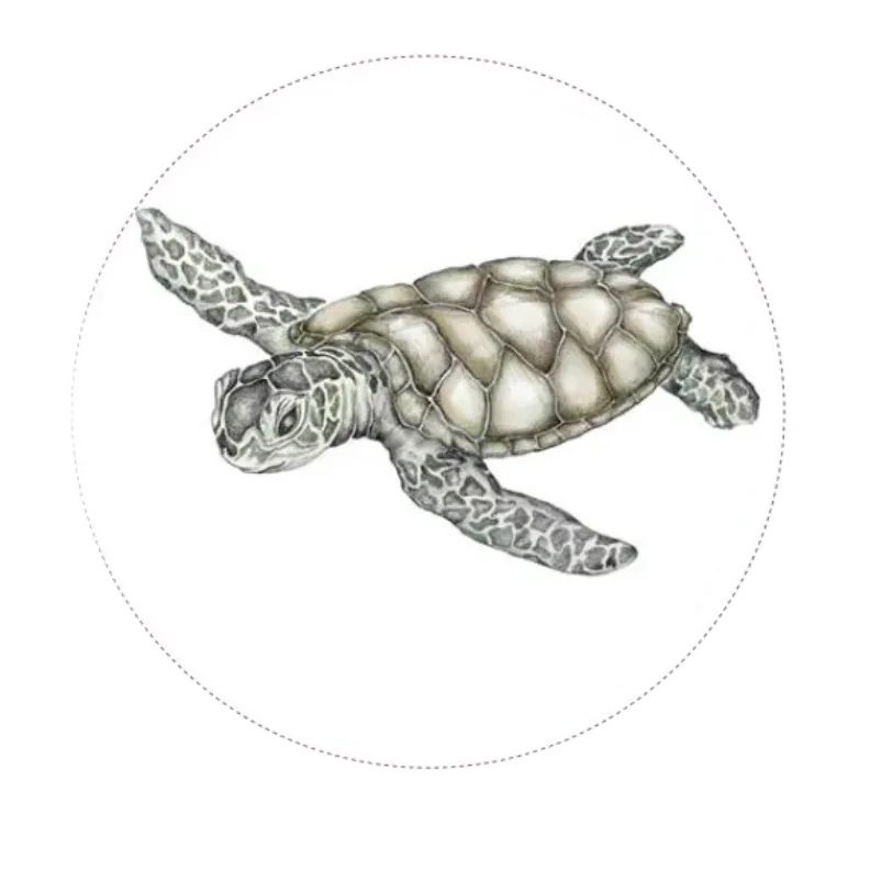 Turtle