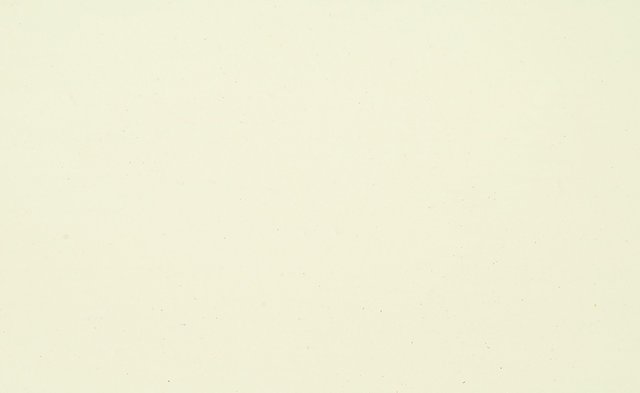 WM41 & AG41 - Bleached White